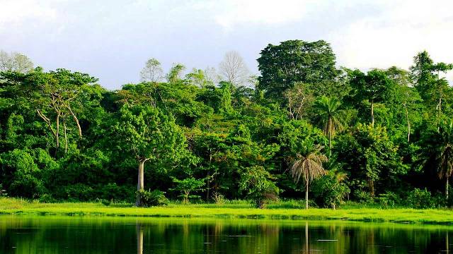 Cross River State Forest Carbon Stock Assessment